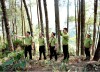 Tạo vành đai xanh bảo vệ biên cương Tổ quốc