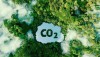 Bán tín chỉ carbon: Tiềm năng lớn trong ngành nông nghiệp