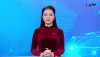 Phóng sự Trồng cây gây rừng Gắn kết tình hữu nghị Việt Nam - Nhật Bản năm 2024