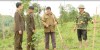 Bắc Quang: Đẩy nhanh tiến độ trồng rừng vụ Xuân