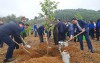 Nhiều cách làm hay, sáng tạo góp phần tăng tốc đề án 1 tỷ cây xanh