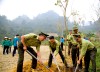 Rừng xanh che chở xóm làng