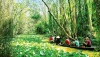 Tăng giá trị đa dụng của hệ sinh thái rừng