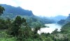 BẠT NGÀN NGHIẾN CỔ THỤ Ở DU GIÀ