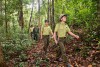 Đề xuất sửa đổi, bổ sung quy định về Kiểm lâm và Lực lượng chuyên trách bảo vệ rừng