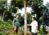 Làm giàu từ những cánh rừng ở Tân Bắc