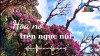 Hoa nở trên ngực núi