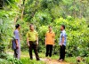 Người Pà Thẻn giữ rừng đầu nguồn My Bắc