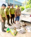 Hạt Kiểm lâm Quang Bình phát hiện vụ vận chuyển động vật hoang dã trái phép số lượng lớn