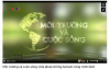 Môi trường và cuộc sống: Phục hồi màu xanh cho rừng sau bão