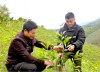 Khai thác nguồn lợi từ rừng theo hướng bền vững