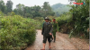 TUYÊN QUANG TĂNG CƯỜNG BẢO VỆ CHIM HOANG DÃ, CHIM DI CƯ