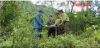 Phòng chống cháy rừng mùa hanh khô