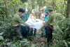 Sắc xanh Tân Thanh