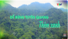 Để rừng Tuyên Quang thêm xanh