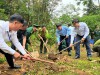 Trồng 1.500 cây hồi, dẻ gai, mắc ca ở các xã biên giới