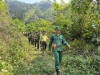TĂNG CƯỜNG PHỐI HỢP TUẦN TRA BẢO VỆ RỪNG VÀNH ĐAI BIÊN GIỚI