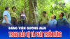 Đảng viên gương mẫu trong bảo vệ và phát triển rừng