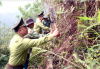 Tuyên truyền giữ rừng trong mùa nắng nóng