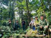 Tuyên Quang: Hành trình bền bỉ giữ rừng và kiến tạo giá trị xanh