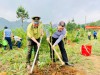 Dựng “vành đai xanh”, giữ vững phên giậu Tổ quốc