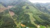 Tuyên Quang: Giữ rừng để làm giàu bền vững