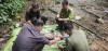 Lặng thầm giữa đại ngàn