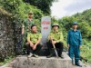 Màu xanh bất tử trên đỉnh 2000