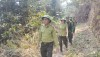 Những người lính canh giữ màu xanh đại ngàn