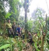 Gieo mầm xanh, giữ bình yên rừng