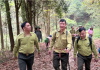 Mang chuyện giữ rừng lên nương ngô, xuống chợ quê