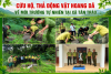 Cứu hộ, thả động vật hoang dã về môi trường tự nhiên tại xã Tân Trào