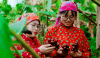 Phát huy lợi thế từ rừng, tạo động lực phát triển kinh tế