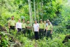 Công an tỉnh Tuyên Quang tích cực phối hợp bảo vệ động vật hoang dã, góp phần gìn giữ đa dạng sinh học