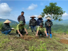 Tuyên Quang: Giữ rừng, bảo vệ màu xanh ở Bình Xa