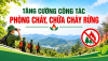 Tăng cường công tác phòng cháy, chữa cháy rừng