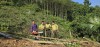 Hạt Kiểm lâm khu vực IV tăng cường thống kê lâm sản phục vụ phát triển kinh tế từ rừng