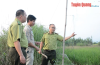 Ngăn chặn hành vi bẫy bắt động vật hoang dã, chim di cư