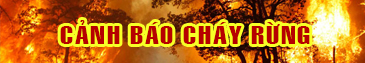 Cảnh báo cháy rừng