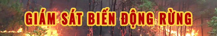 Giám sát biến động rừng