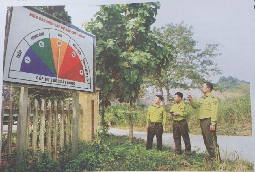 anh2