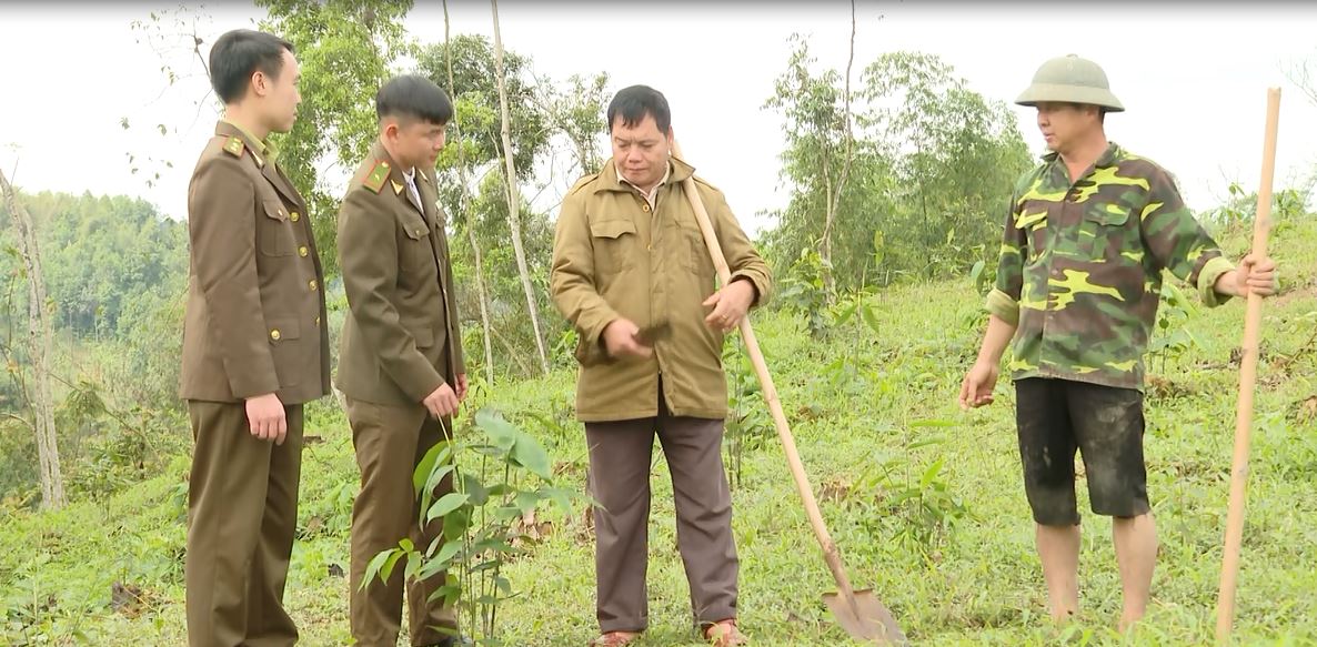 bac quang1
