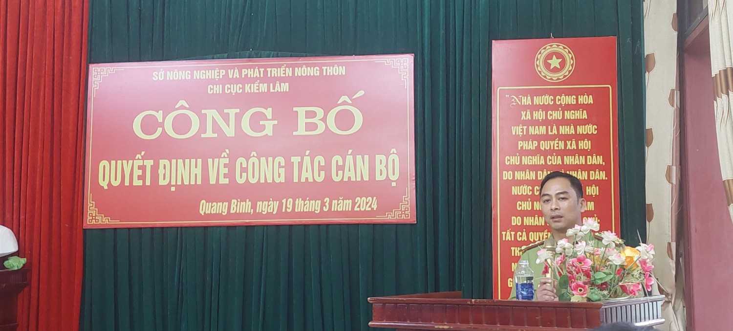 tin bai qbi 2