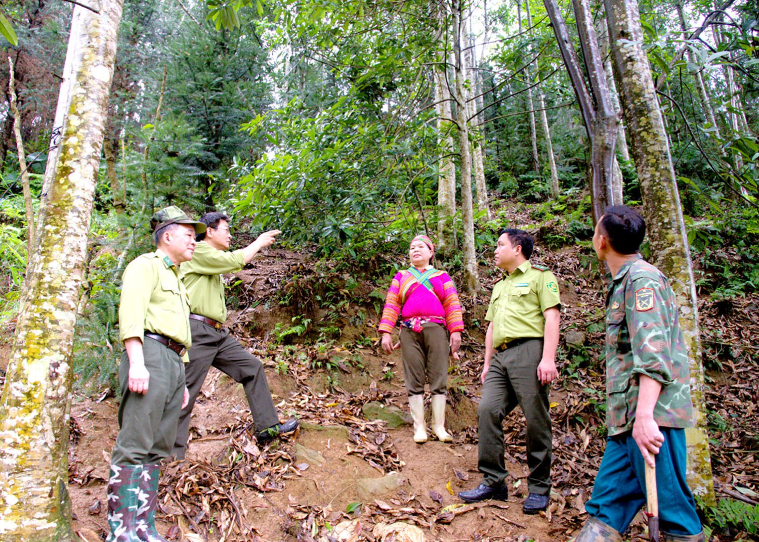 thuan hoa2 20240408101219
