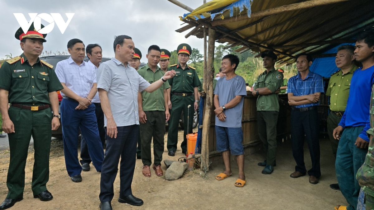 pho thue tuong tran luu quang kiem tra cong tac quan ly bao ve rung tai chot quan ly bao ve rung ya krei xa mo rai huyen sa thay tinh kon tum