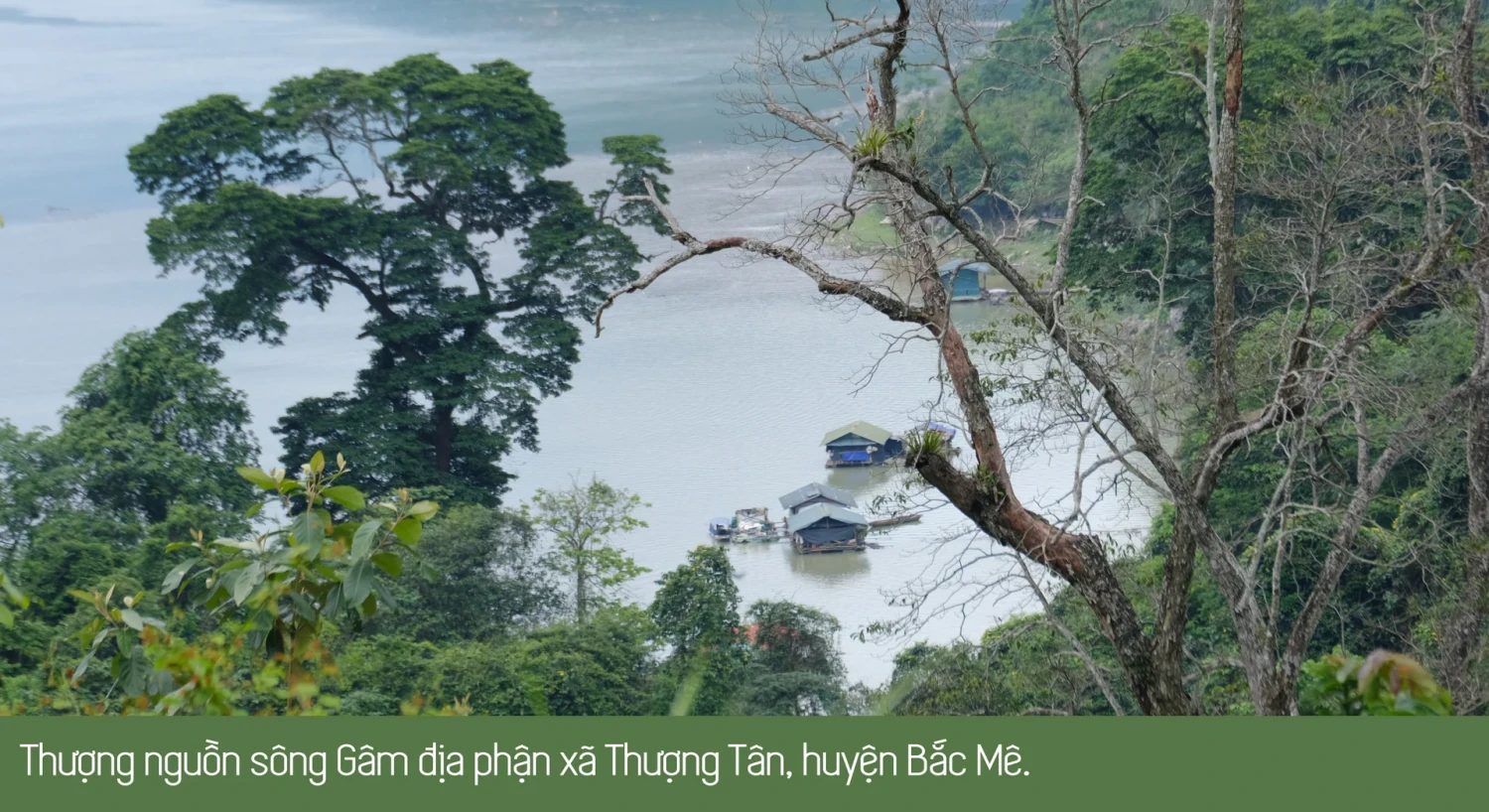 tuan rung 5