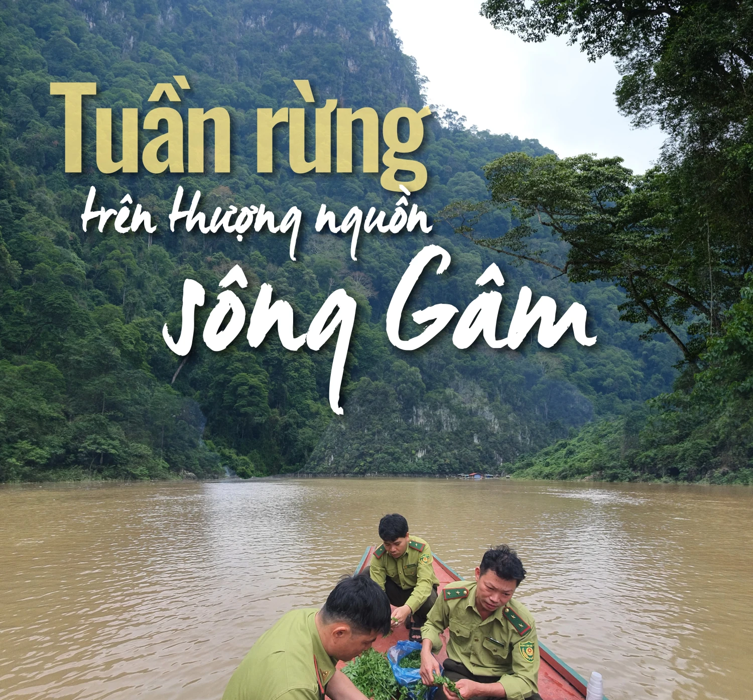 tuan rung tren thuong nguon song gam image pc 165638