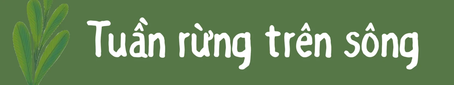 tuan rung3