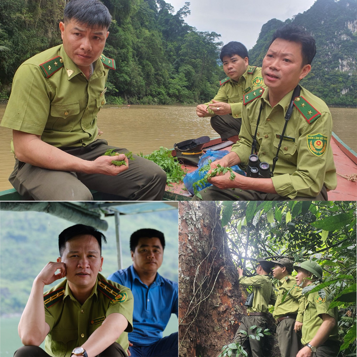 tuan rung7