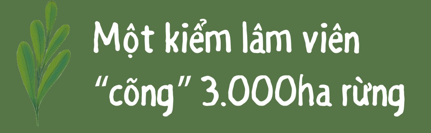 tuan rung9